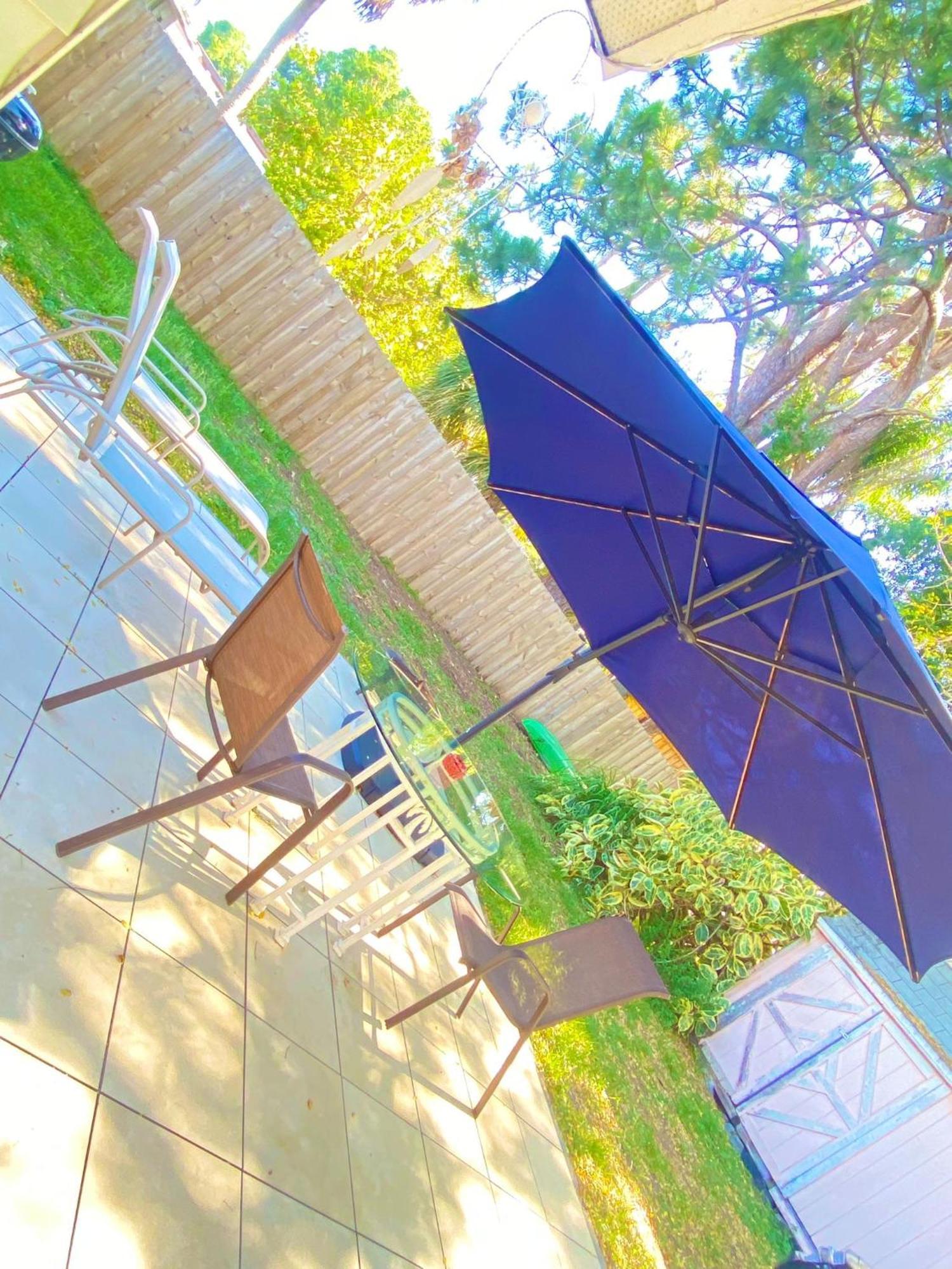 Cozy Studio Only 10 Minutes By Car Of Siesta Key サラソータ エクステリア 写真
